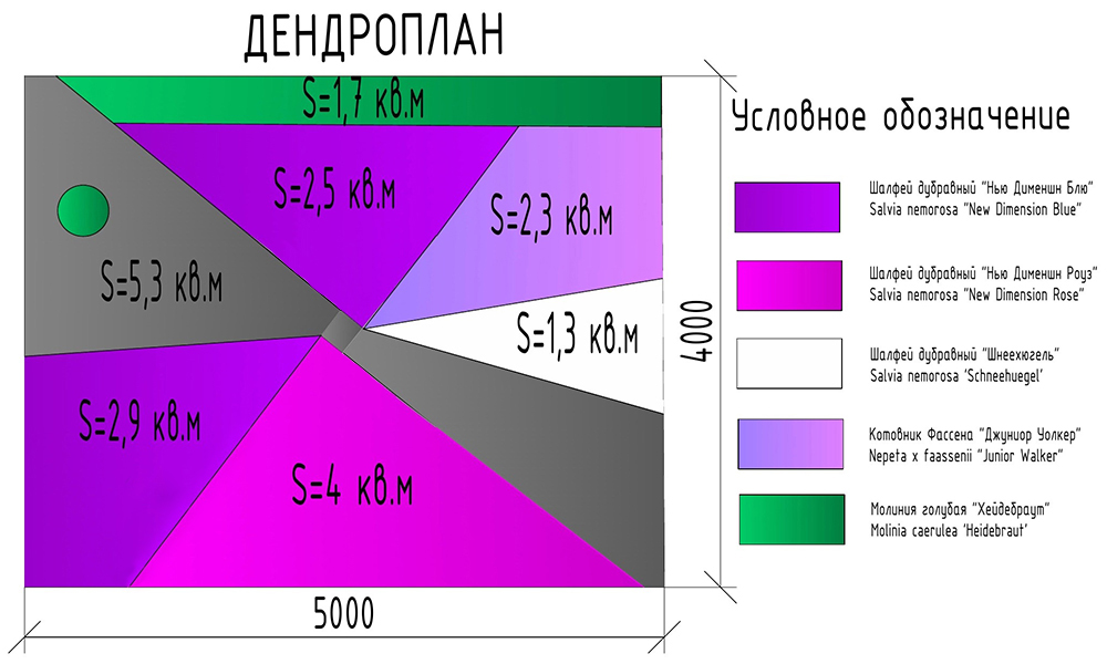 Дендроплан сада Новое измерение